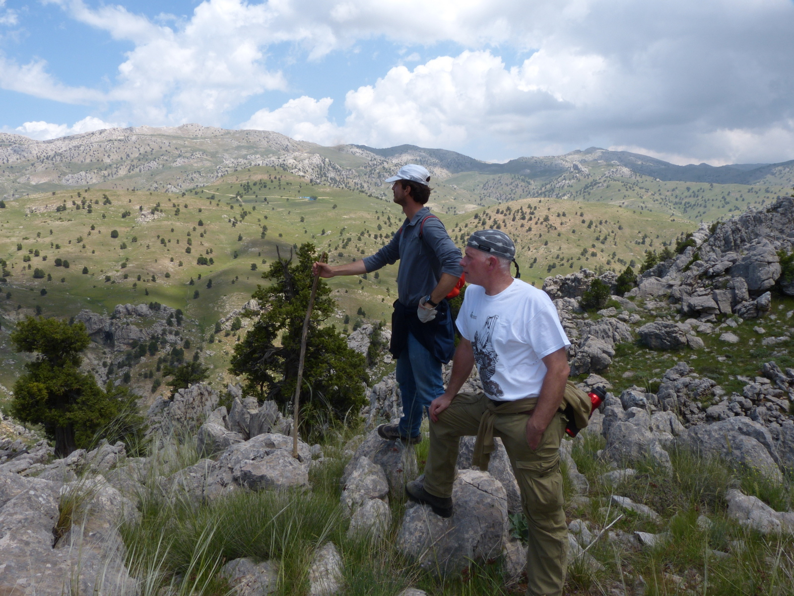 Where are the steppe vipers Kharamanmaras Province, Turkiye
